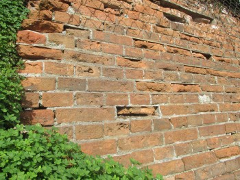 コンニャク煉瓦の擁壁